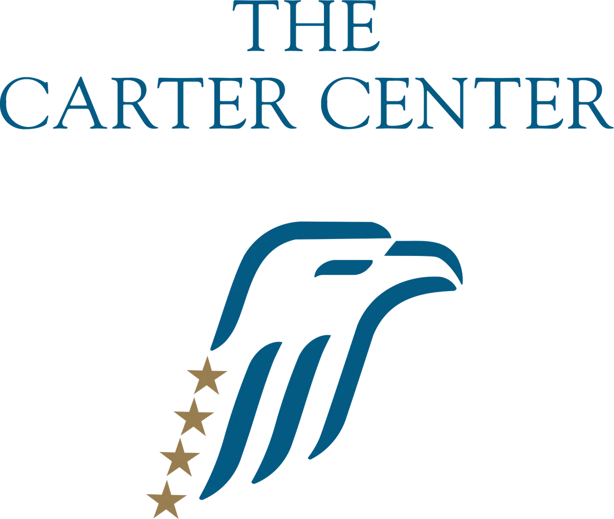 The Carter Center